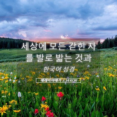 Picture 05 - 예레미야애가 3:34 KOR - 세상에 모든 갇힌 자를 발로 밟는 - Bible Verse Picture