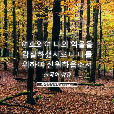 Picture 05 - 예레미야애가 3:59 KOR - 여호와여 나의 억울을 - Bible Verse Picture