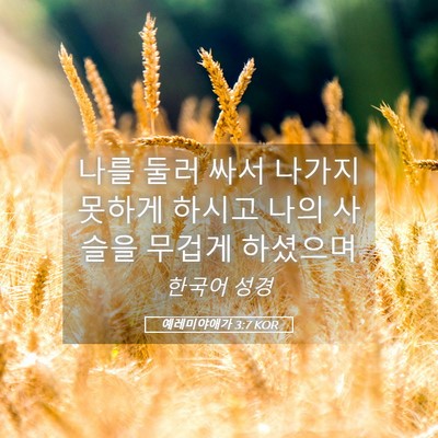 Picture 05 - 예레미야애가 3:7 KOR - 나를 둘러 싸서 나가지 못하게 - Bible Verse Picture