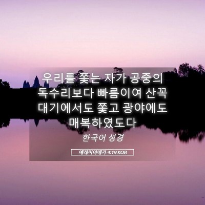 Picture 05 - 예레미야애가 4:19 KOR - 우리를 쫓는 자가 공중의 독수리보다 - Bible Verse Picture