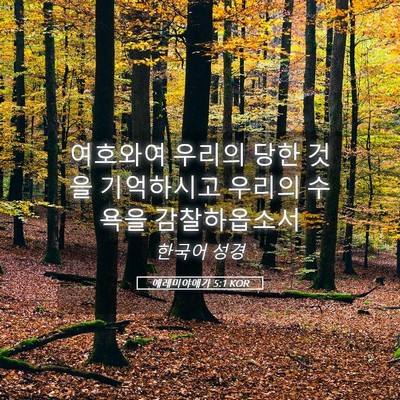 Picture 05 - 예레미야애가 5:1 KOR - 여호와여 우리의 당한 것을 - Bible Verse Picture