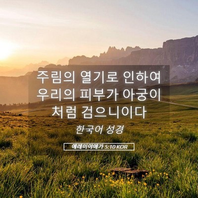 Picture 05 - 예레미야애가 5:10 KOR - 주림의 열기로 인하여 우리의 피부가 - Bible Verse Picture
