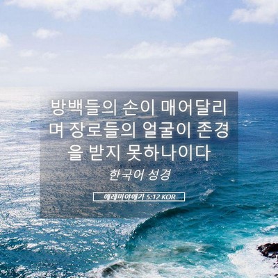 Picture 05 - 예레미야애가 5:12 KOR - 방백들의 손이 매어달리며 장로들의 - Bible Verse Picture