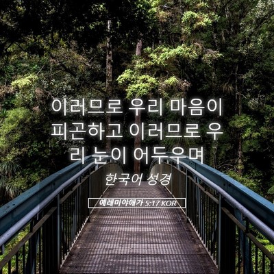 Picture 05 - 예레미야애가 5:17 KOR - 이러므로 우리 마음이 피곤하고 - Bible Verse Picture