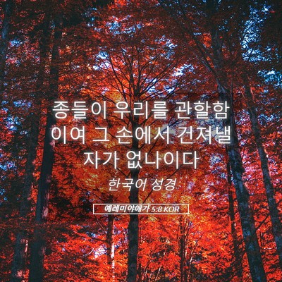 Picture 05 - 예레미야애가 5:8 KOR - 종들이 우리를 관할함이여 그 손에서 - Bible Verse Picture
