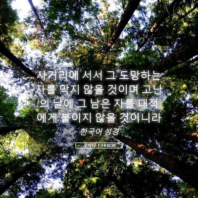 Picture 05 - 오바댜 1:14 KOR - 사거리에 서서 그 도망하는 자를 - Bible Verse Picture