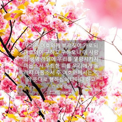 Picture 05 - 요나 1:14 KOR - 무리가 여호와께 부르짖어 가로되 - Bible Verse Picture