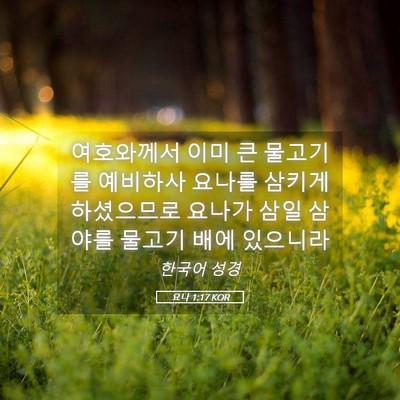 Picture 05 - 요나 1:17 KOR - 여호와께서 이미 큰 물고기를 - Bible Verse Picture