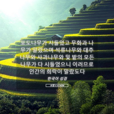 Picture 05 - 요엘 1:12 KOR - 포도나무가 시들었고 무화과 나무가 - Bible Verse Picture