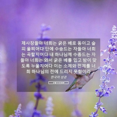 Picture 05 - 요엘 1:13 KOR - 제사장들아 너희는 굵은 베로 동이고 - Bible Verse Picture