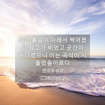 Picture 05 - 요엘 1:17 KOR - 씨가 흙덩이 아래서 썩어졌고 창고가 - Bible Verse Picture