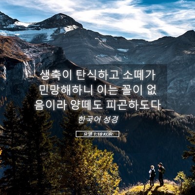 Picture 05 - 요엘 1:18 KOR - 생축이 탄식하고 소떼가 민망해하니 - Bible Verse Picture