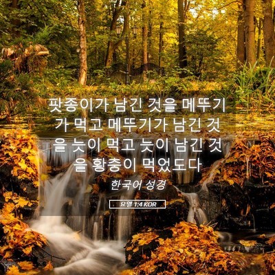 Picture 05 - 요엘 1:4 KOR - 팟종이가 남긴 것을 메뚜기가 먹고 - Bible Verse Picture