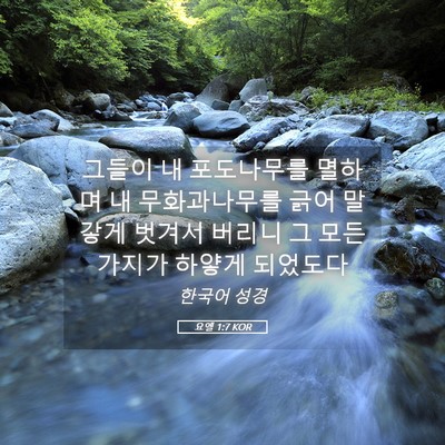 Picture 05 - 요엘 1:7 KOR - 그들이 내 포도나무를 멸하며 내 - Bible Verse Picture