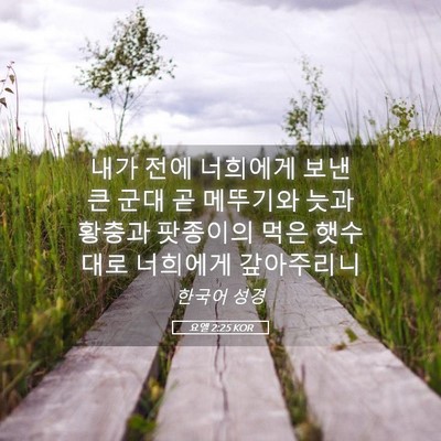 Picture 05 - 요엘 2:25 KOR - 내가 전에 너희에게 보낸 큰 군대 곧 - Bible Verse Picture