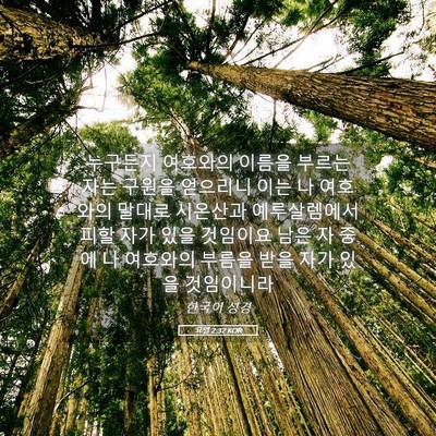 Picture 05 - 요엘 2:32 KOR - 누구든지 여호와의 이름을 부르는 - Bible Verse Picture