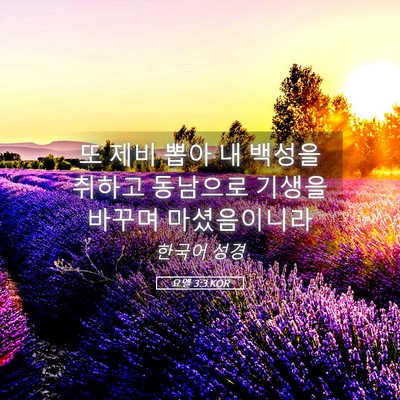 Picture 05 - 요엘 3:3 KOR - 또 제비 뽑아 내 백성을 취하고 - Bible Verse Picture