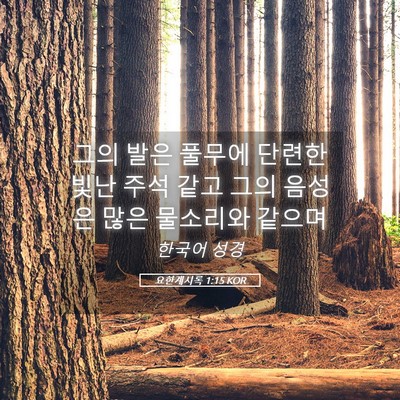 Picture 05 - 요한계시록 1:15 KOR - 그의 발은 풀무에 단련한 빛난 주석 - Bible Verse Picture
