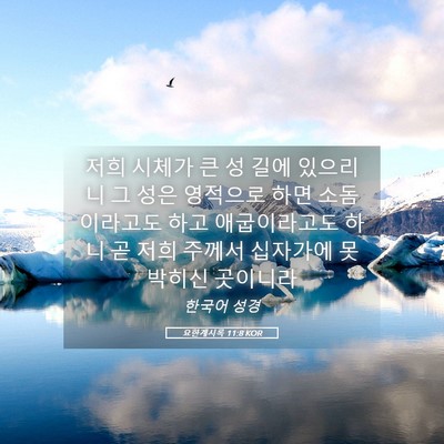Picture 05 - 요한계시록 11:8 KOR - 저희 시체가 큰 성 길에 있으리니 그 - Bible Verse Picture