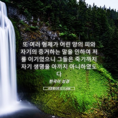 Picture 05 - 요한계시록 12:11 KOR - 또 여러 형제가 어린 양의 피와 - Bible Verse Picture