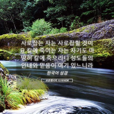 Picture 05 - 요한계시록 13:10 KOR - 사로잡는 자는 사로잡힐 것이요 칼에 - Bible Verse Picture