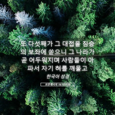 Picture 05 - 요한계시록 16:10 KOR - 또 다섯째가 그 대접을 짐승의 - Bible Verse Picture