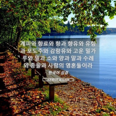 Picture 05 - 요한계시록 18:13 KOR - 계피와 향료와 향과 향유와 유향과 - Bible Verse Picture