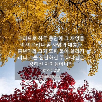 Picture 05 - 요한계시록 18:8 KOR - 그러므로 하루 동안에 그 재앙들이 - Bible Verse Picture