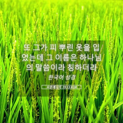 Picture 05 - 요한계시록 19:13 KOR - 또 그가 피 뿌린 옷을 입었는데 그 - Bible Verse Picture