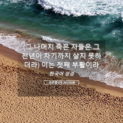 Picture 05 - 요한계시록 20:5 KOR - (그 나머지 죽은 자들은 그 천년이 - Bible Verse Picture