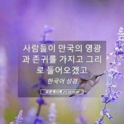 Picture 05 - 요한계시록 21:26 KOR - 사람들이 만국의 영광과 존귀를 - Bible Verse Picture