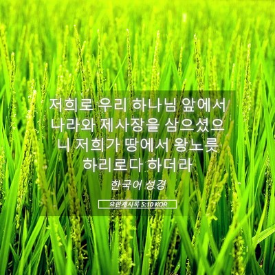 Picture 05 - 요한계시록 5:10 KOR - 저희로 우리 하나님 앞에서 나라와 - Bible Verse Picture