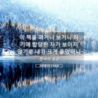 Picture 05 - 요한계시록 5:4 KOR - 이 책을 펴거나 보거나 하기에 - Bible Verse Picture