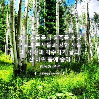 Picture 05 - 요한계시록 6:15 KOR - 땅의 임금들과 왕족들과 장군들과 - Bible Verse Picture