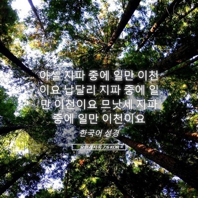 Picture 05 - 요한계시록 7:6 KOR - 아셀 지파 중에 일만 이천이요 - Bible Verse Picture