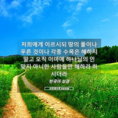 Picture 05 - 요한계시록 9:4 KOR - 저희에게 이르시되 땅의 풀이나 푸른 - Bible Verse Picture