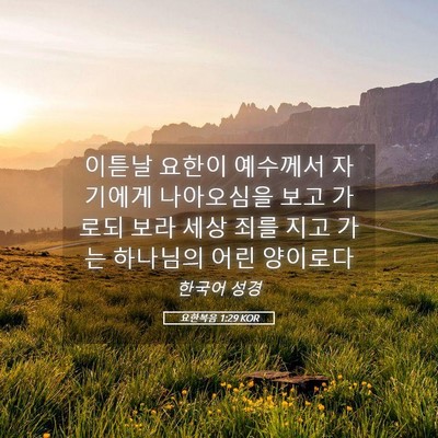 Picture 05 - 요한복음 1:29 KOR - 이튿날 요한이 예수께서 자기에게 - Bible Verse Picture