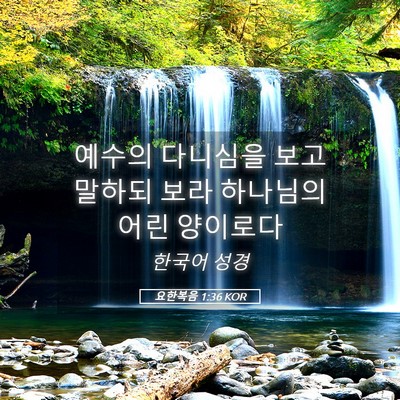 Picture 05 - 요한복음 1:36 KOR - 예수의 다니심을 보고 말하되 보라 - Bible Verse Picture