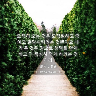 Picture 05 - 요한복음 10:10 KOR - 도적이 오는 것은 도적질하고 죽이고 - Bible Verse Picture