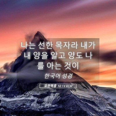 Picture 05 - 요한복음 10:14 KOR - 나는 선한 목자라 내가 내 양을 알고 - Bible Verse Picture