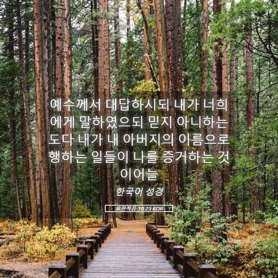 Picture 05 - 요한복음 10:25 KOR - 예수께서 대답하시되 내가 너희에게 - Bible Verse Picture