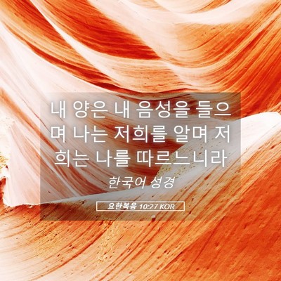 Picture 05 - 요한복음 10:27 KOR - 내 양은 내 음성을 들으며 나는 - Bible Verse Picture