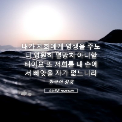 Picture 05 - 요한복음 10:28 KOR - 내가 저희에게 영생을 주노니 영원히 - Bible Verse Picture