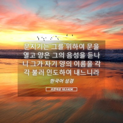Picture 05 - 요한복음 10:3 KOR - 문지기는 그를 위하여 문을 열고 - Bible Verse Picture