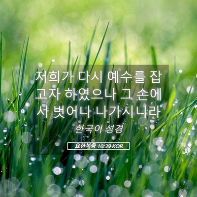 Picture 05 - 요한복음 10:39 KOR - 저희가 다시 예수를 잡고자 하였으나 - Bible Verse Picture