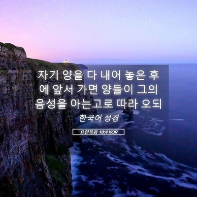 Picture 05 - 요한복음 10:4 KOR - 자기 양을 다 내어 놓은 후에 앞서 - Bible Verse Picture