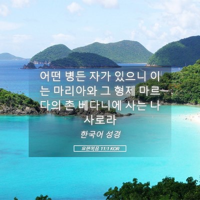 Picture 05 - 요한복음 11:1 KOR - 어떤 병든 자가 있으니 이는 - Bible Verse Picture
