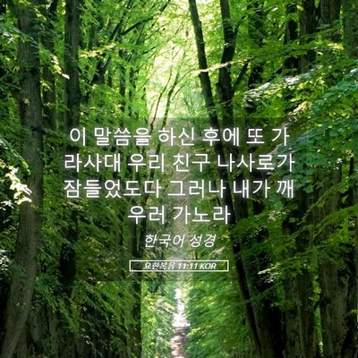 Picture 05 - 요한복음 11:11 KOR - 이 말씀을 하신 후에 또 가라사대 - Bible Verse Picture