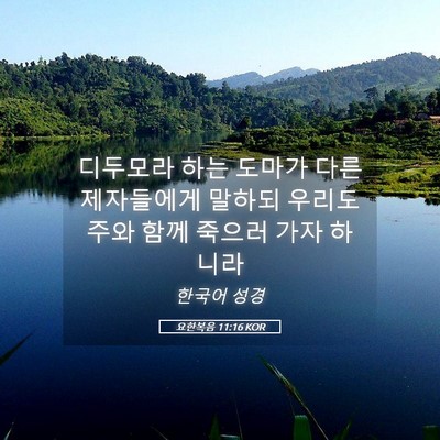 Picture 05 - 요한복음 11:16 KOR - 디두모라 하는 도마가 다른 - Bible Verse Picture