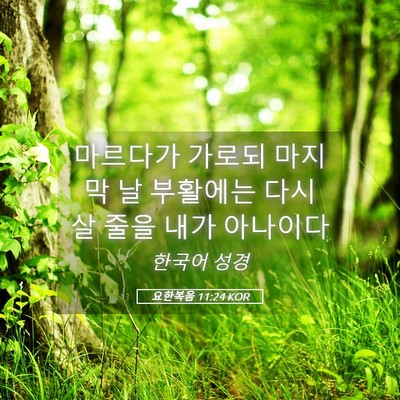Picture 05 - 요한복음 11:24 KOR - 마르다가 가로되 마지막 날 부활에는 - Bible Verse Picture